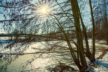 Frozen snow Fish pond alder trees bending over against sunlight. Shore covered with ice crystals, water surface. horizon, blue sky winter background. Germany, Alzey, Rhineland Palatinate