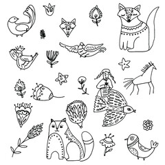 Flowers and patterns in doodle style, sketch and outline.