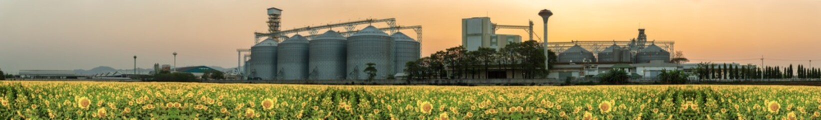 Agricultural Silos - Building Exterior, Storage and drying of grains, wheat, corn, soy, sunflower against the blue sky with sunflower fields.
