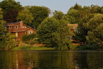 autumn in the park