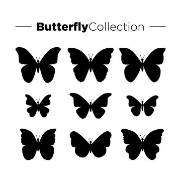 Set of butterflies, black silhouettes on white background. Vector