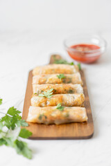 Vegetable Spring Rolls with Tomato Chili Dip, Flat Lay