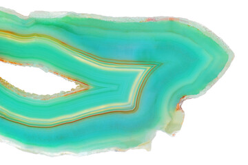 Coupe transversale étonnante de coupe de cristal d& 39 agate verte isolée sur fond blanc. Surface en cristal d& 39 agate translucide naturelle, structure abstraite verte tranche pierre minérale gros plan macro