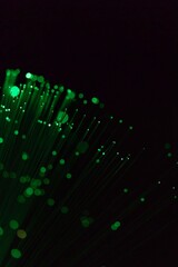Abstract Glass Fibers