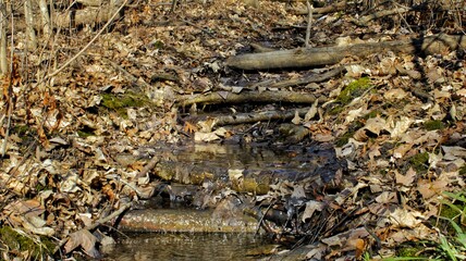 a river