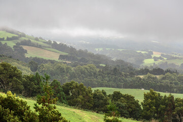 Foggy green landscape of Sao Miguel Island, Portugal