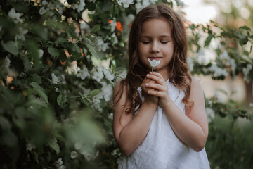 A little dreamy girl with long hair in a white dress on a background of green grass holds a white apple flower in her hands