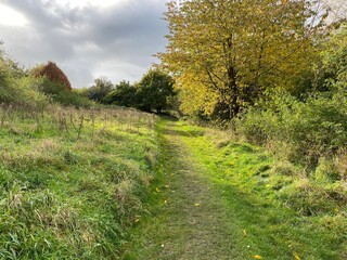 Fototapeta na wymiar Grass track, leading into, Heaton Woods, on a cloudy autumn day in, Bradford, Yorkshire, UK