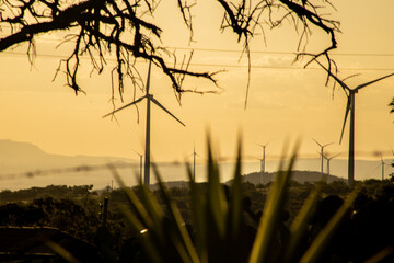 wind turbines on sunset