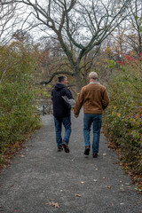 Fototapeta premium A middle-aged gay couple goes for a walk in the park with their dog in the autumn.