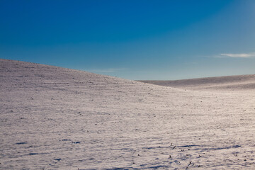 snowy farmland with sunlight and blue sky