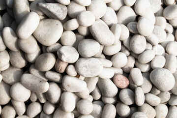 Lot Of Various Shapes And Sizes Of Natural Beautiful White Colored Stones Or Pebbles Suitable For Background Or Wallpaper