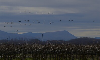 basque country sky in winter