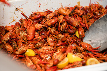 overhead closeup view of a large quantity of cooked crawfish ready to eat at a crawfish boil party at Mardi Gras