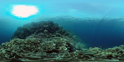 Fototapeta na wymiar Tropical coral reef and fishes underwater. Hard and soft corals. Philippines. Virtual Reality 360.