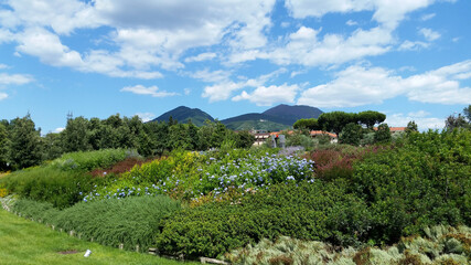 vesuvio