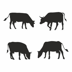 Set of silhouettes of cows