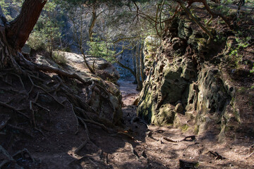 Beautiful landscape around the Katzensteine ​​in Katzvey in the Eifel