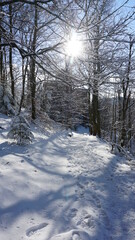 Obraz premium the snowy trail from the Ritterplatte (knight plate) down to the Altes Schloss (old castle) Hohenbaden, at the Battert, a panorama path in Baden-Baden in the region Baden-Wuerttemberg, Germany
