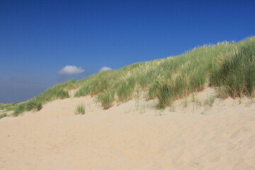 A dune landscape on the North Sea coast in the Netherlands
