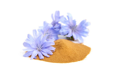 Fototapeta na wymiar Chicory root powder with blue flowers isolated on white background