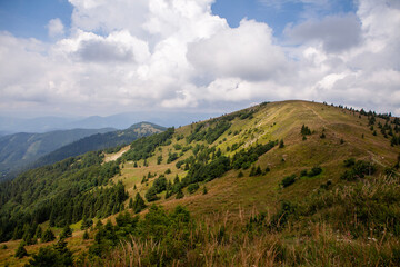 Fototapeta premium landscape with sky