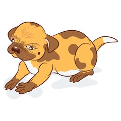 Illustration vector cute dog pug with background