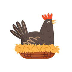 Hen sitting on nest. Bird, domestic animal. Farm, countryside life. Eco food production. Illustration, design element.