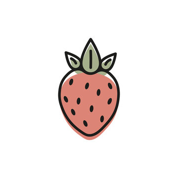 Strawberries  drawings. vector illustration eps10