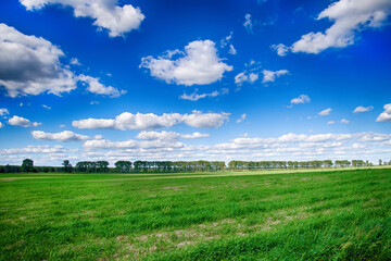 Fototapeta na wymiar View of summer landscape. Green grass and beautiful sky with white clouds