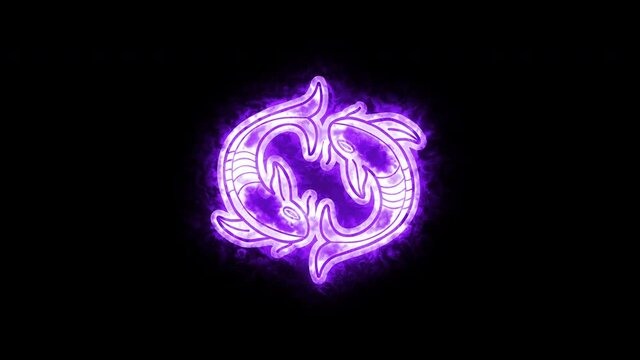 The Pisces zodiac symbol, horoscope sign lighting effect purple neon glow. Royalty high-quality free stock of Pisces signs isolated on black background. Horoscope, astrology icons with simple style