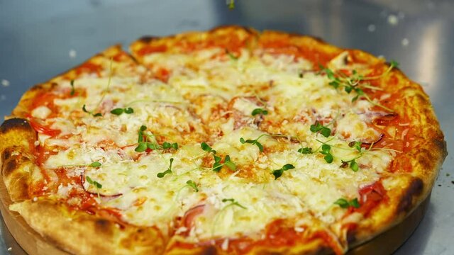 Cook decorates ready pizza. Chef's hand in glove is sprinking fresh green sprouts on a baked pizza in a restaurant. Close-up.
