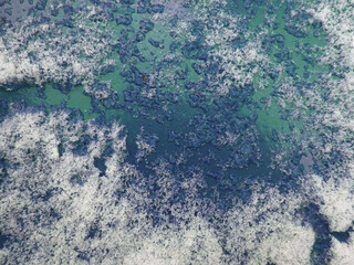 Frosty abstract background blue with ice surface 