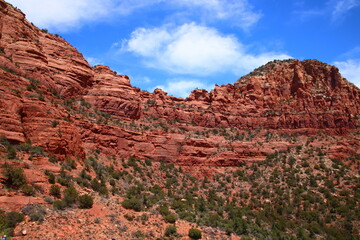 Fototapeta premium red rock canyon