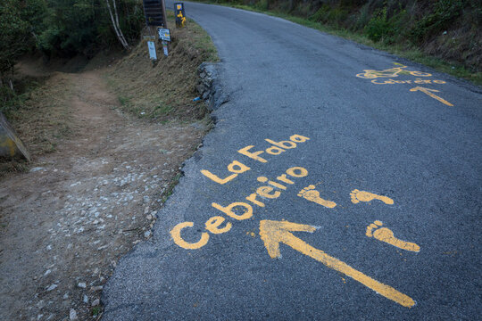 information for pilgrims written on the asphalt - pedestrians should take the dirt road to the left while cyclists keep on the paved road, La Faba, Cebreiro, Spain