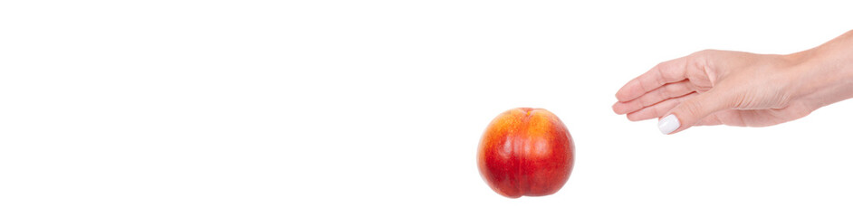 Hand with fresh raw peach fruit, isolated on white background.