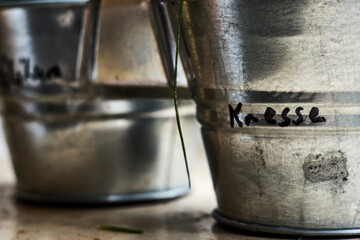 A flower pot ,with herbs on the windowsill