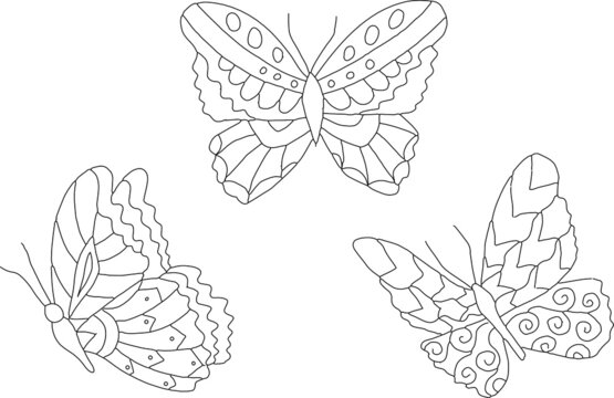 Hand drawing coloring for kids and adults. Beautiful drawings with patterns and small details.  Butterfly illustration. Vector