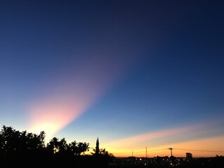 sunset, sky, sun, clouds, tree, trees, dusk, nature, orange, landscape, cloud, evening, night, silhouette, blue, beautiful, red, sunrise, black