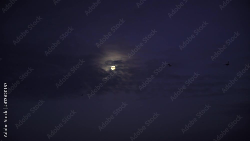 Wall mural bird flock flying in front of moon and clouds