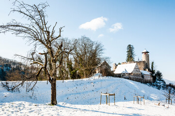 Arlesheim, Schloss Birseck, Burg, Ruine, Ermitage, Dorf, Wanderweg, Wald, Schnee, Schneedecke,...