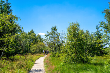 Hohes Venn, Malmedy, Belgien 