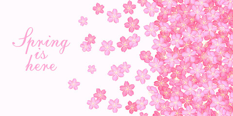 Beautiful pink cherry blossoms. Blooming spring background.  Vector illustration