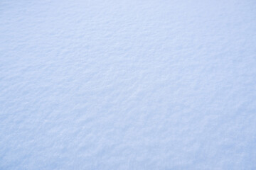 Blue snow as a background.