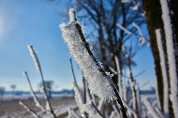 winterstimmung
