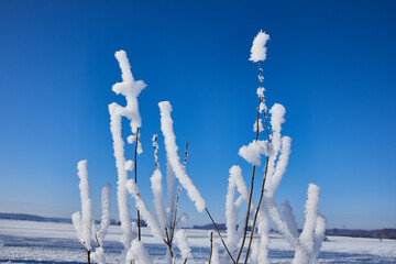 winterstimmung