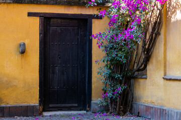 Fototapeta na wymiar Classic yellow house and beautiful flowers in Mexico City