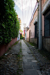 Colorful Hispanic houses and trees in alleys from Mexico City