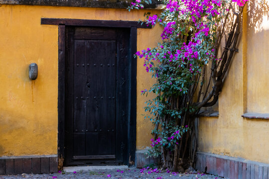 Classic Yellow House And Beautiful Flowers In Mexico City