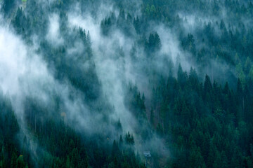 Mystical fog in the mountains. Austria, Alps